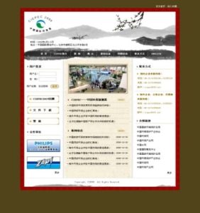 项目案例