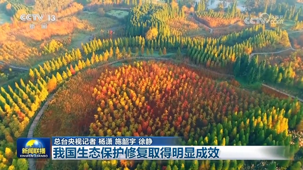 我国首次公报形式发布生态保护修复成效_环保网