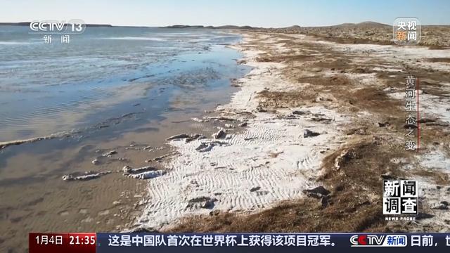 如何了解黄河生态之变？看看这些鸟儿就知道