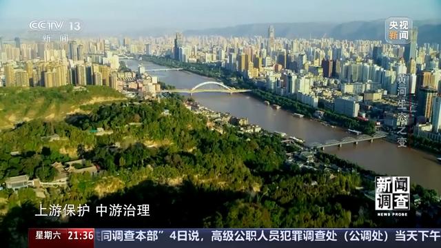 如何了解黄河生态之变？看看这些鸟儿就知道