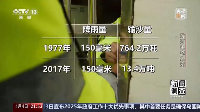 如何了解黄河生态之变？看看这些鸟儿就知道