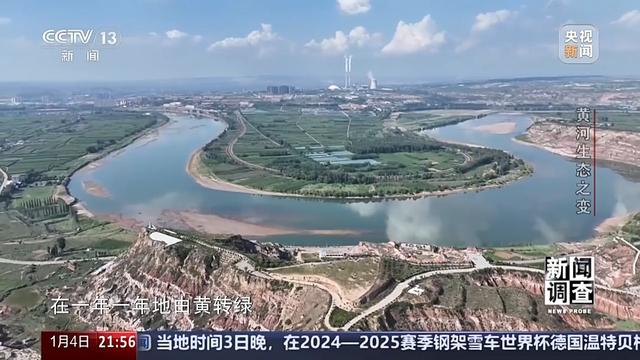 如何了解黄河生态之变？看看这些鸟儿就知道