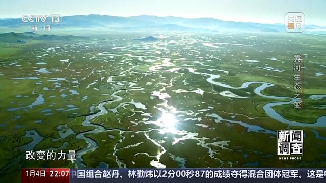 如何了解黄河生态之变？看看这些鸟儿就知道
