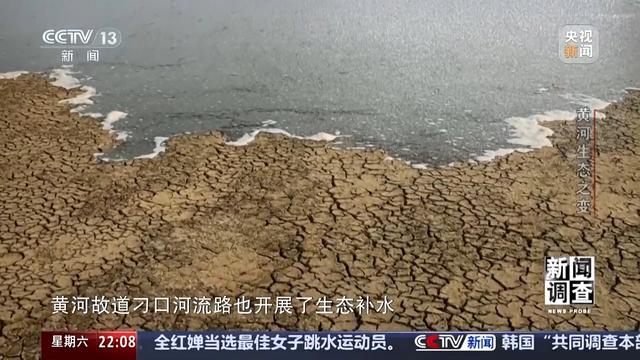 如何了解黄河生态之变？看看这些鸟儿就知道