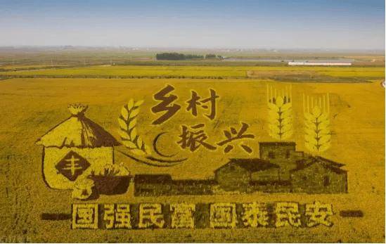 中共中央、国务院印发《乡村全面振兴规划（2024—2027年）》