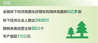 我国林下经济年产值超1万亿元（数说美丽中国）