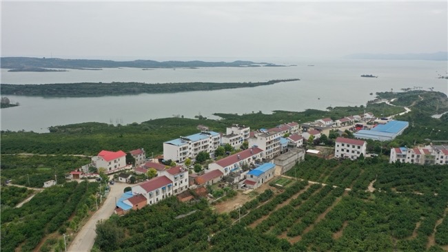 科学治沙护水脉 绿色产业富乡村——丹江口市石漠化治理的中国方案