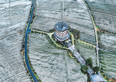 生态环境部公布第一批美丽乡村先行区名单